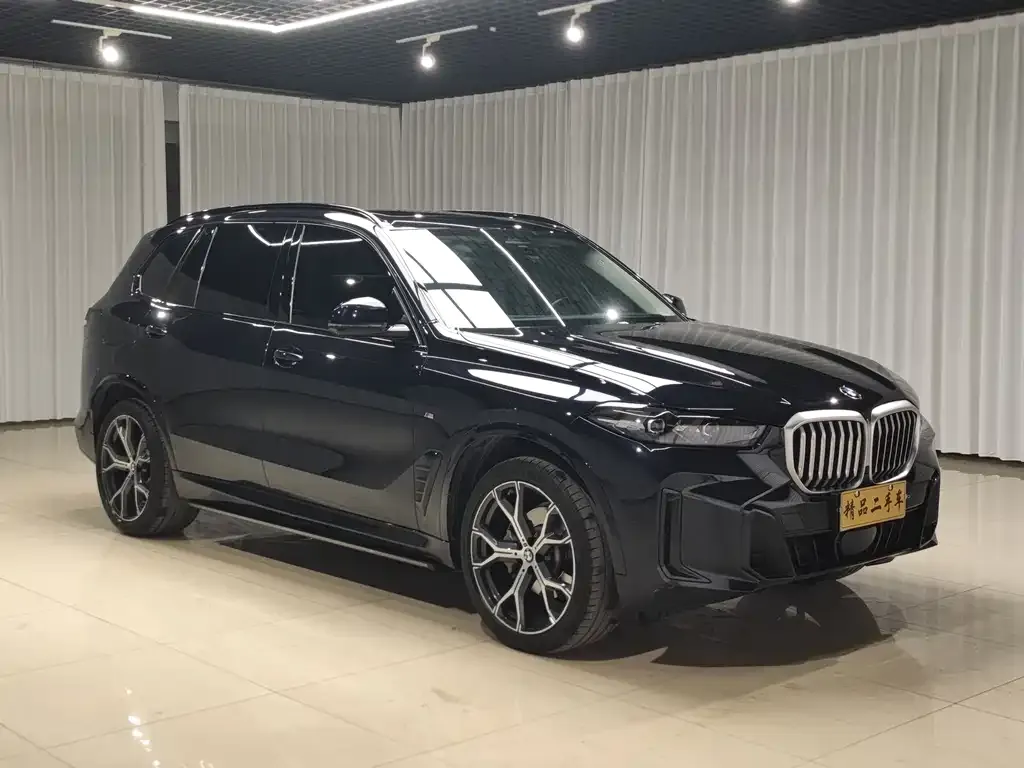 BMW X5 2024 из CN, фото 8