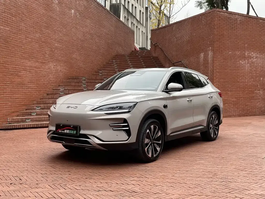 BYD PLUS New Energy 2025 из CN, фото 1