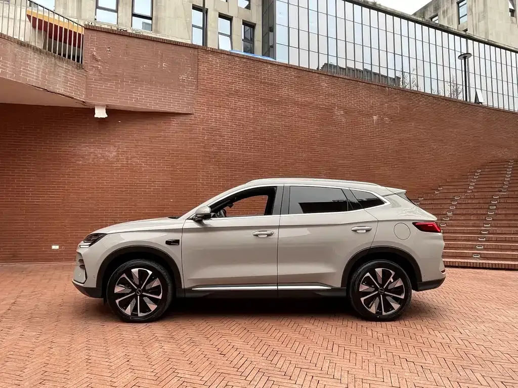 BYD PLUS New Energy 2025 из CN, фото 7