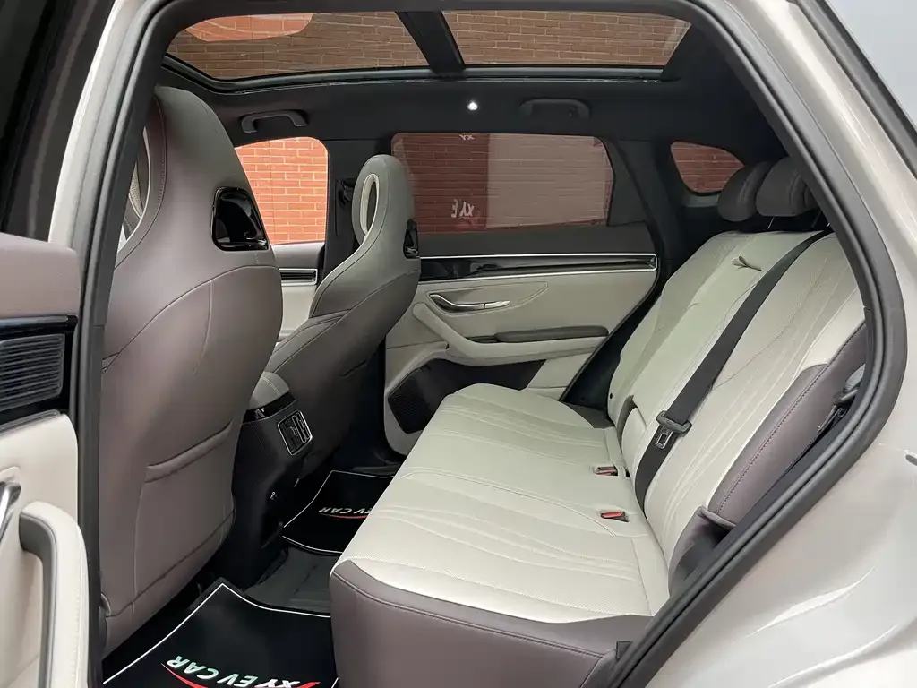 BYD PLUS New Energy 2025 из CN, фото 2