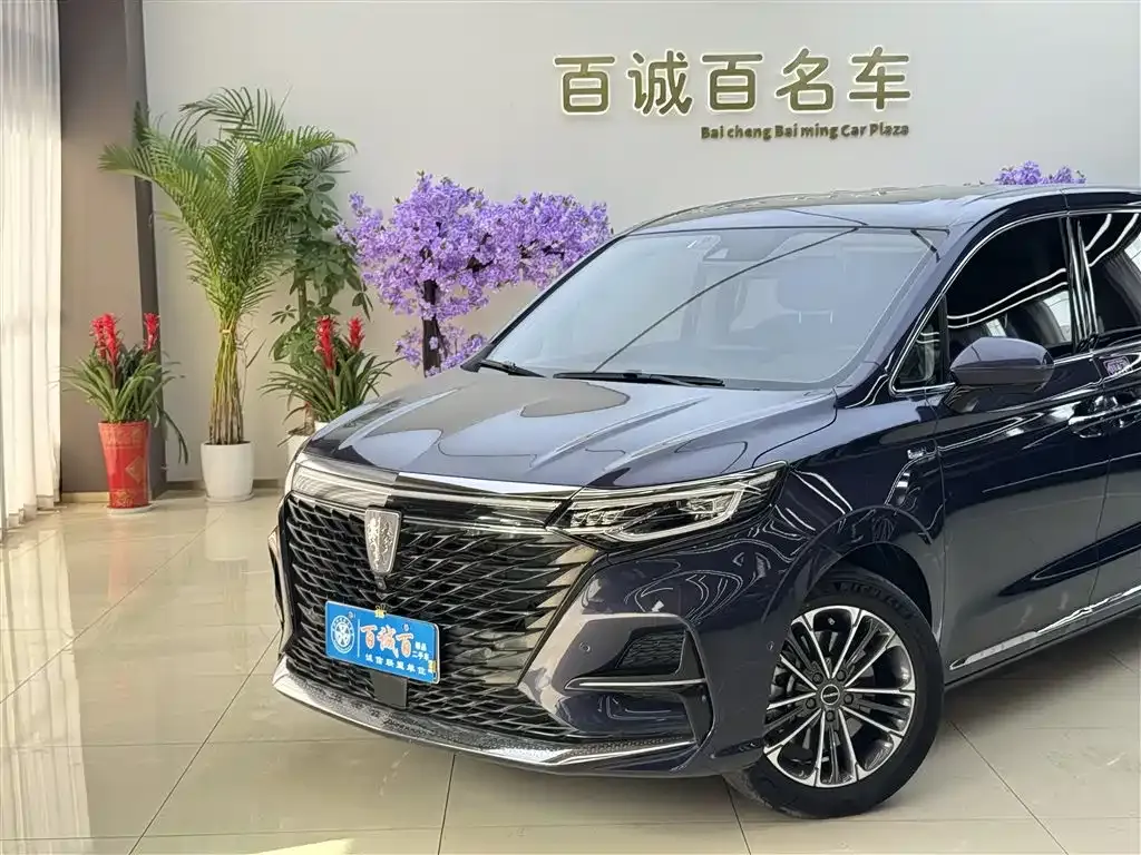 Roewe iMAX8 2023 из CN, фото 6