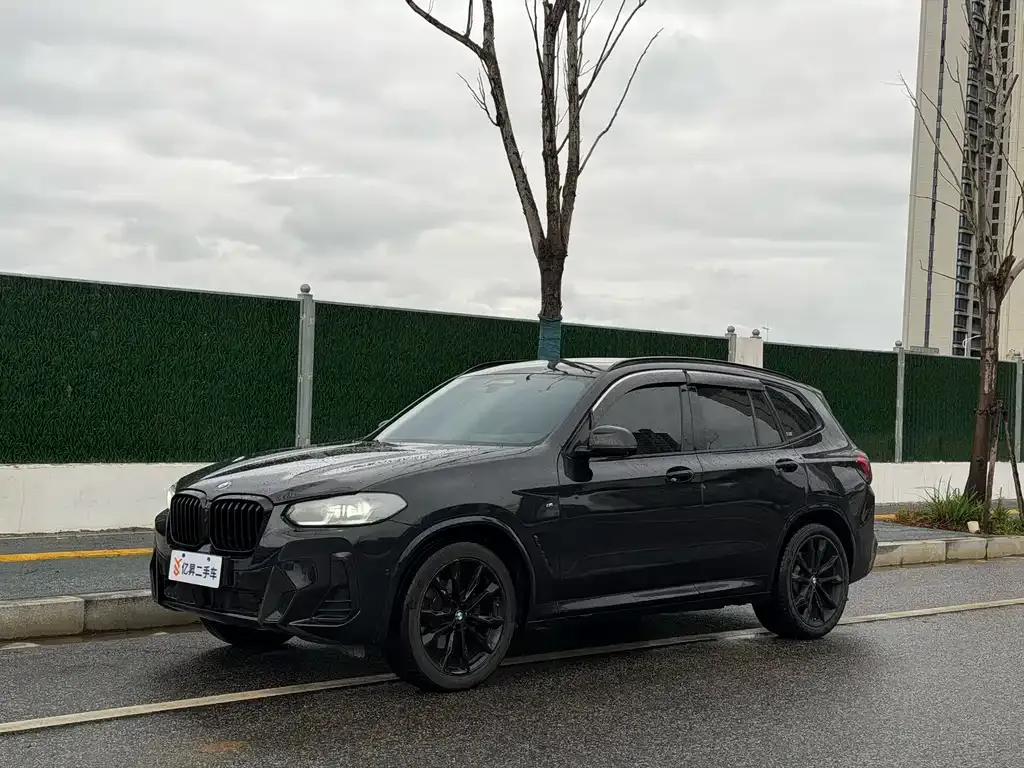 BMW X3 — фото 1