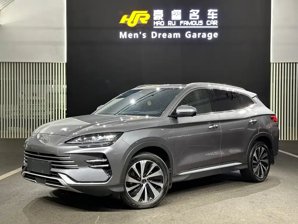 BYD PLUS New Energy — фото 1