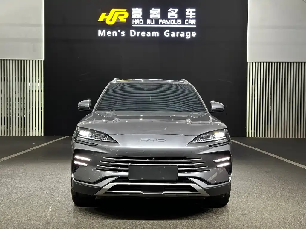 BYD PLUS New Energy — фото 2
