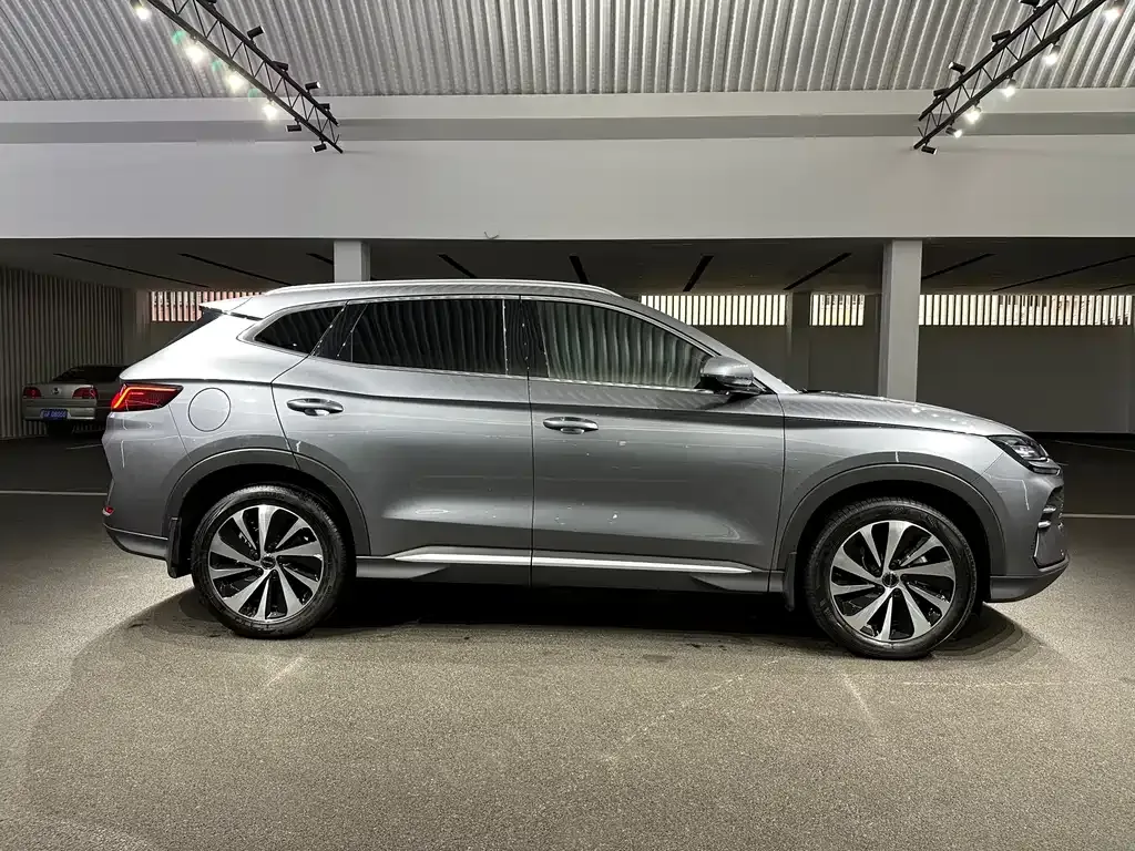 BYD PLUS New Energy — фото 10
