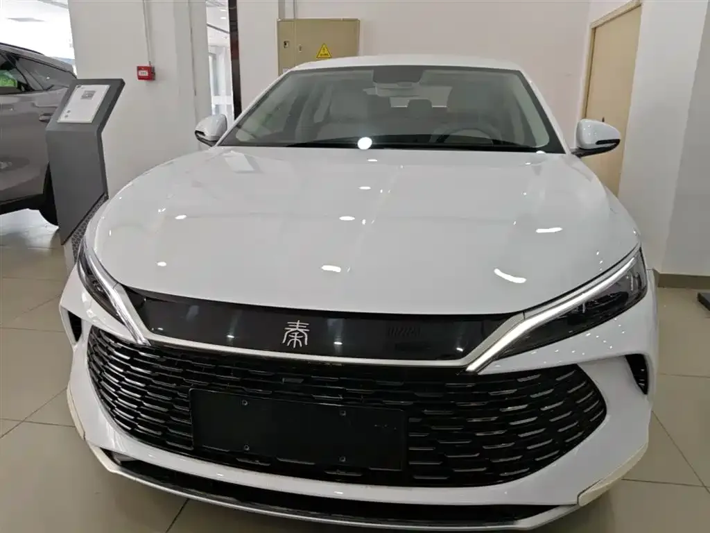 BYD Qin L 2024 из CN, фото 2