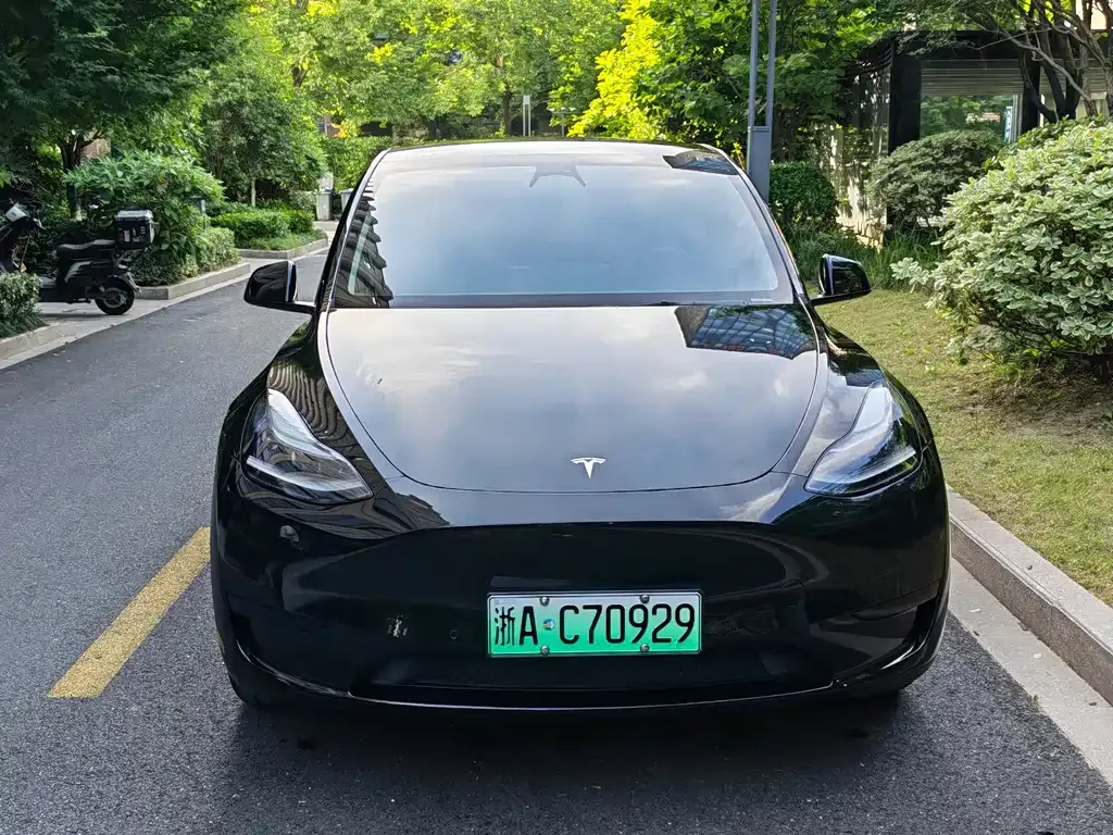 Tesla Model Y — фото 9