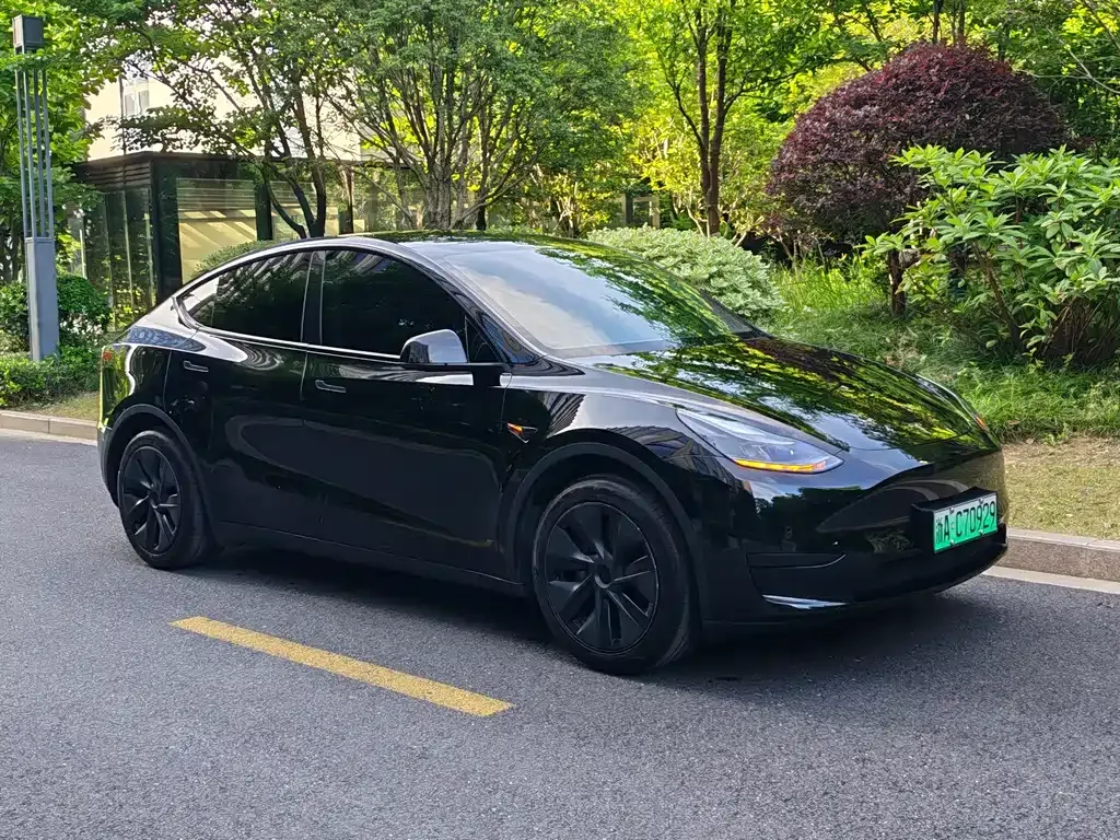Tesla Model Y — фото 8