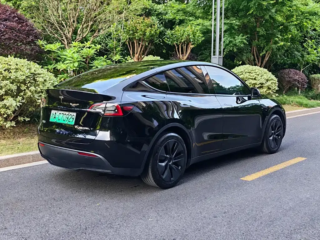Tesla Model Y — фото 10