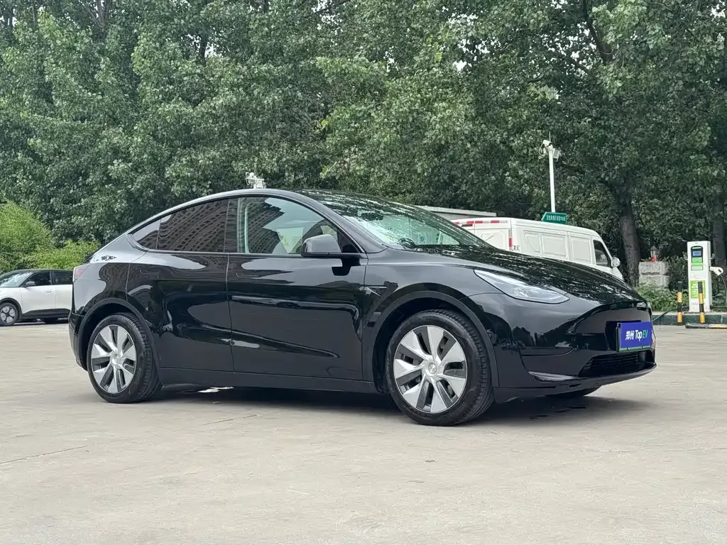 Tesla Model Y — фото 9