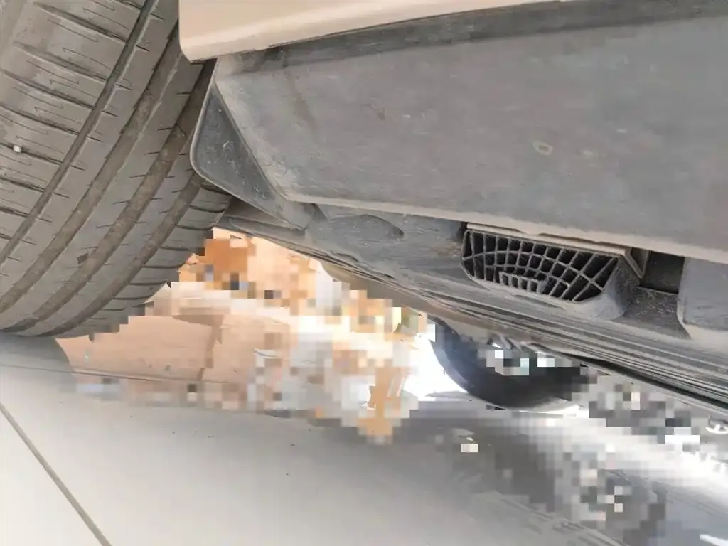 Volvo XC60 2025 из CN, фото 2