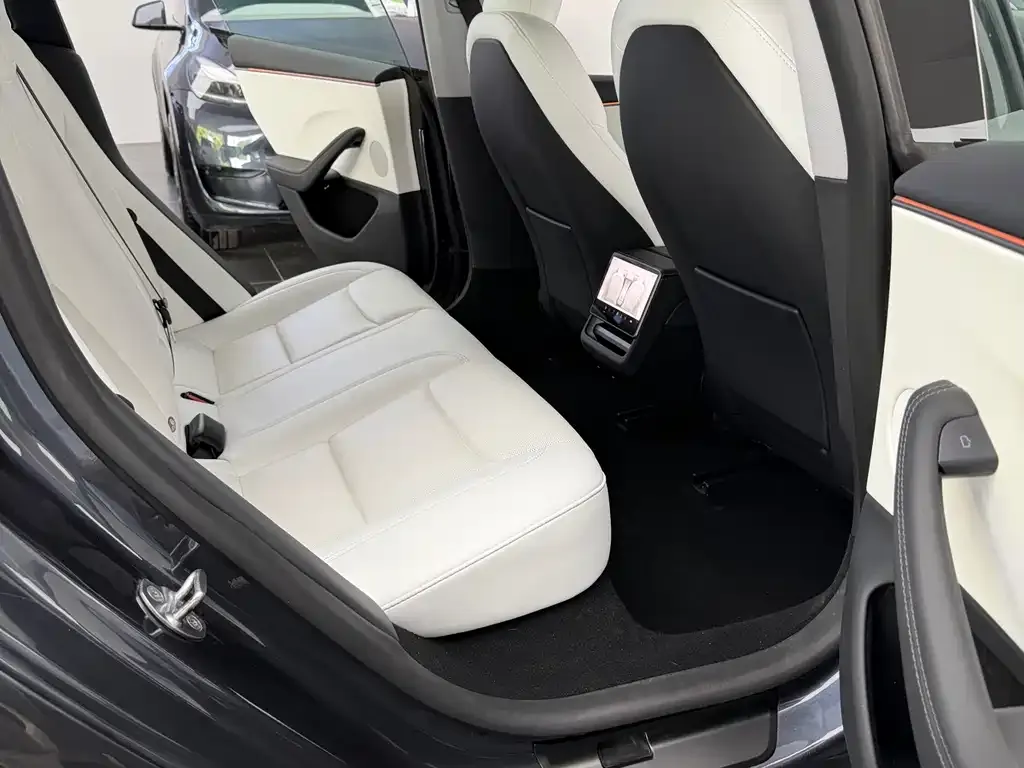 Tesla Model 3 2025 из CN, фото 4