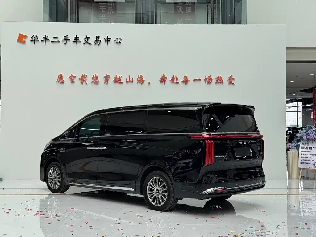 Wey Gaoshan 2025 из CN, фото 8