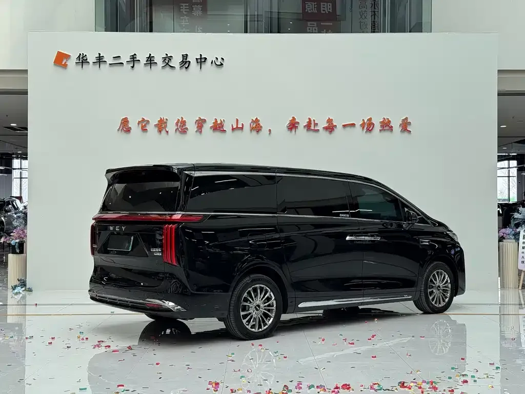 Wey Gaoshan 2025 из CN, фото 4