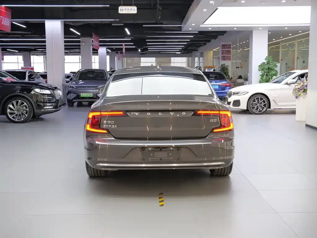 Volvo S90 2024 из CN, фото 9