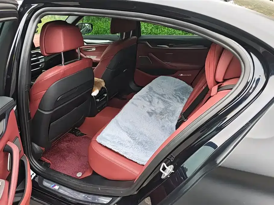 BMW 5 Series 2021 из CN, фото 3