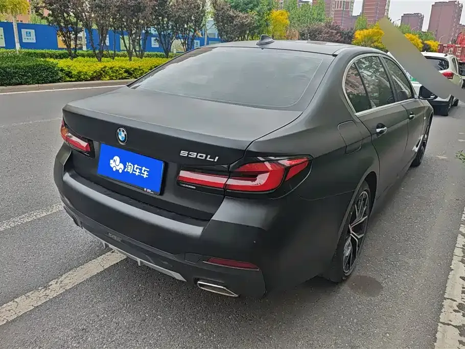 BMW 5 Series 2021 из CN, фото 8