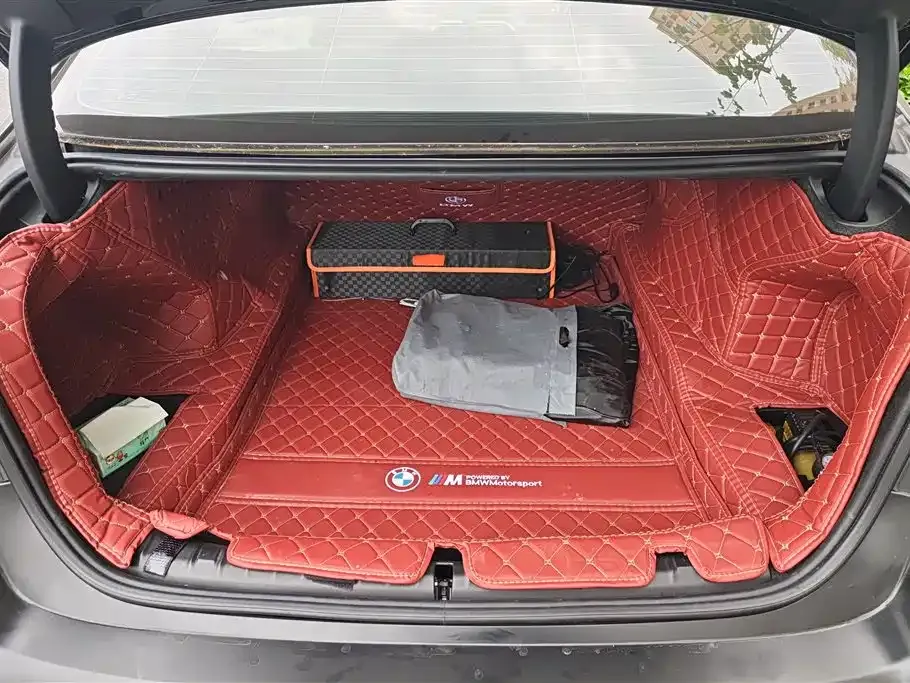 BMW 5 Series 2021 из CN, фото 9