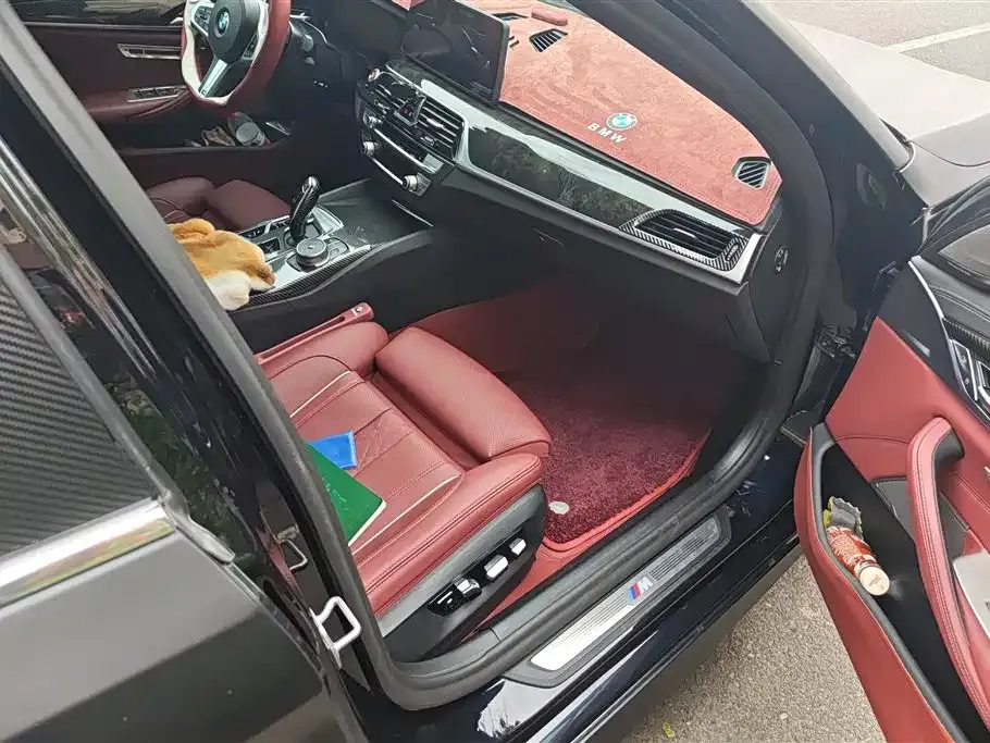 BMW 5 Series 2021 из CN, фото 4