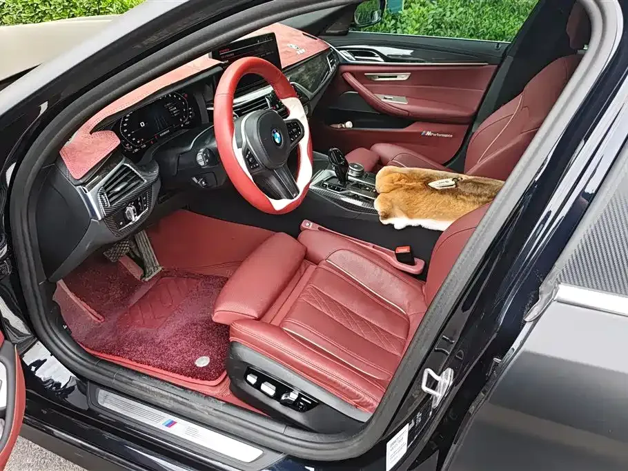 BMW 5 Series 2021 из CN, фото 10