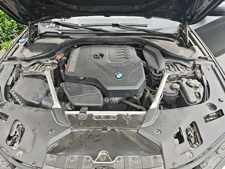 BMW 5 Series 2021 из CN, фото 5