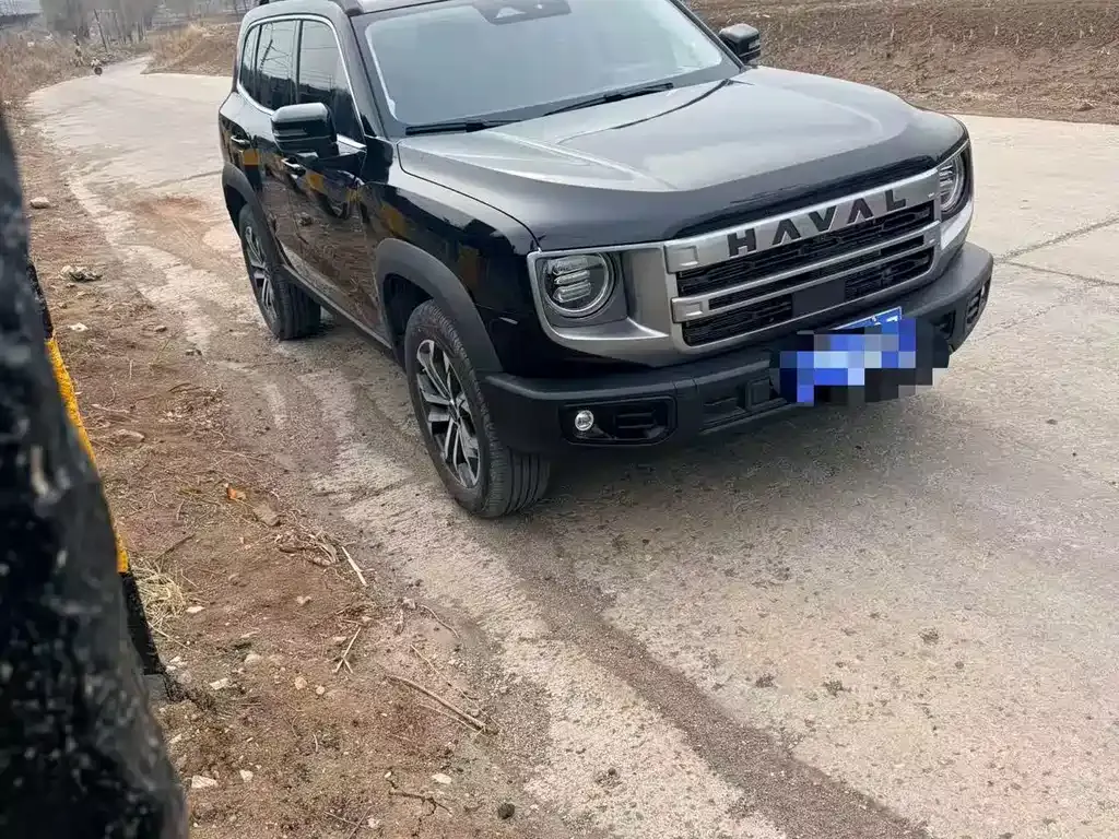 Haval Big Dog 2024 из CN, фото 8