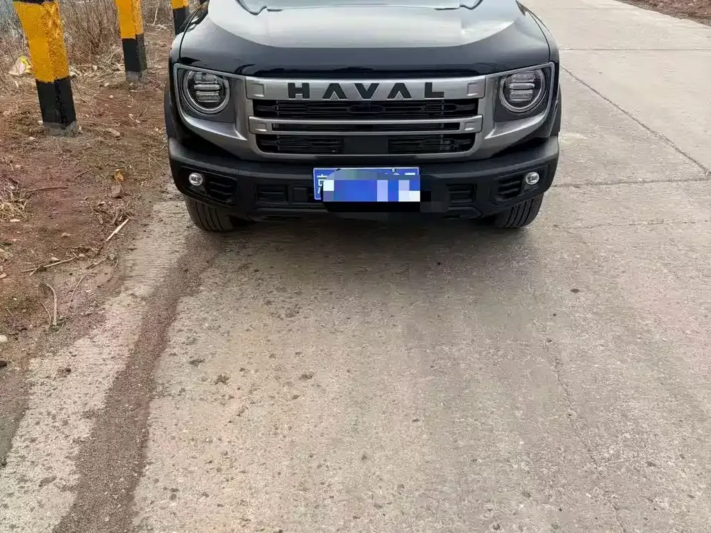 Haval Big Dog 2024 из CN, фото 4