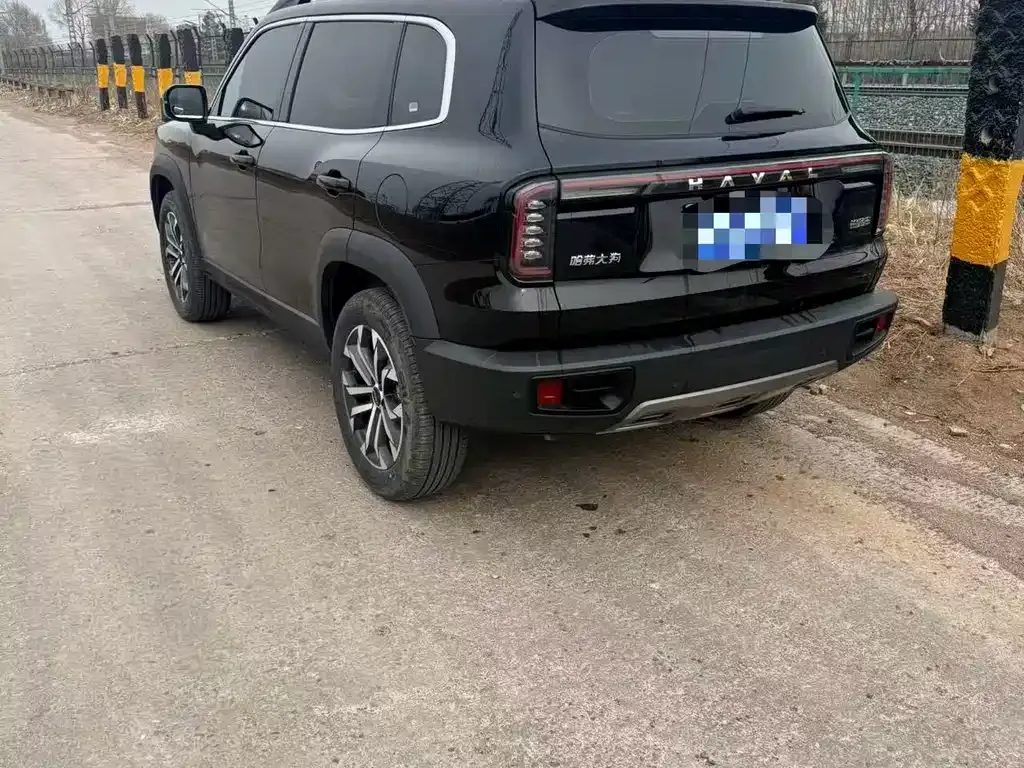 Haval Big Dog 2024 из CN, фото 6