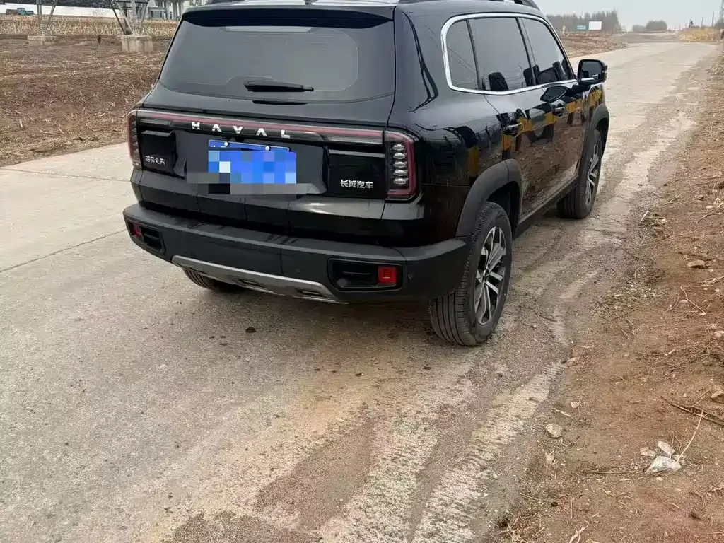 Haval Big Dog 2024 из CN, фото 7