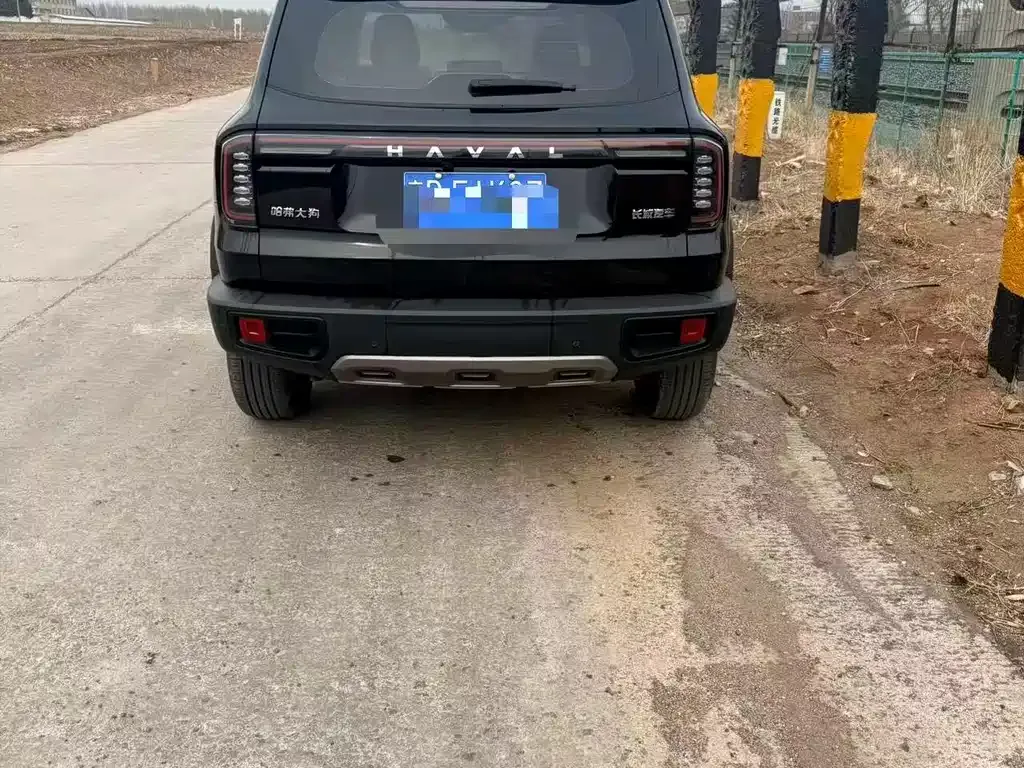 Haval Big Dog 2024 из CN, фото 9