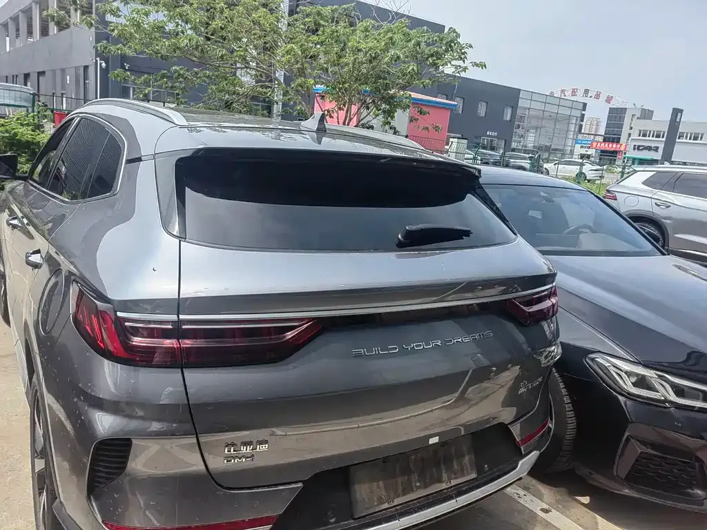 BYD PLUS New Energy — фото 10