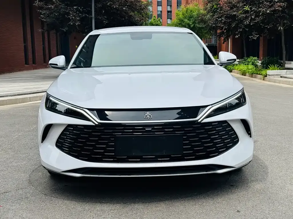 BYD Qin L 2024 из CN, фото 4