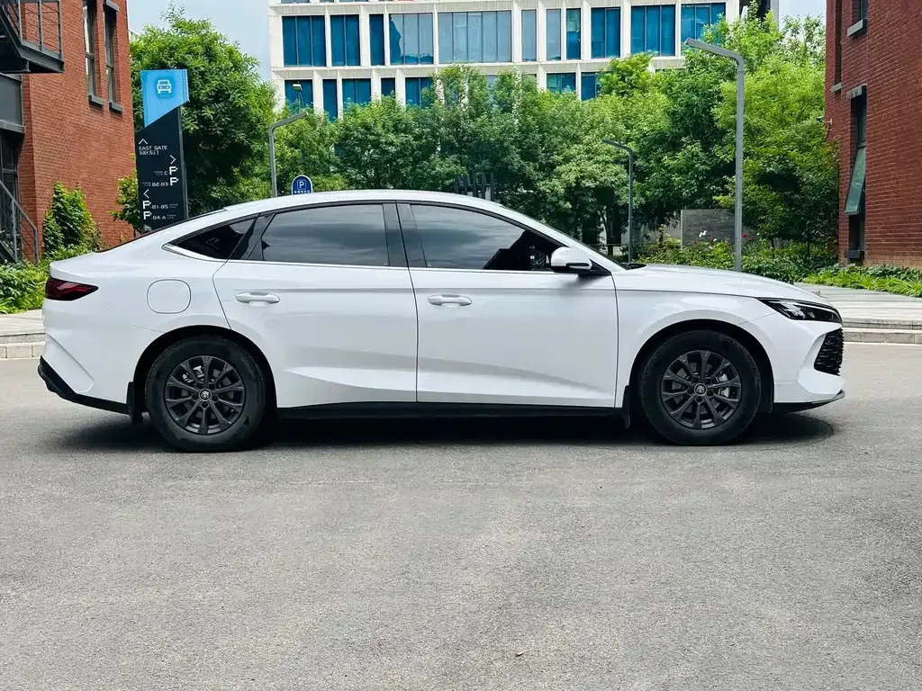 BYD Qin L 2024 из CN, фото 2