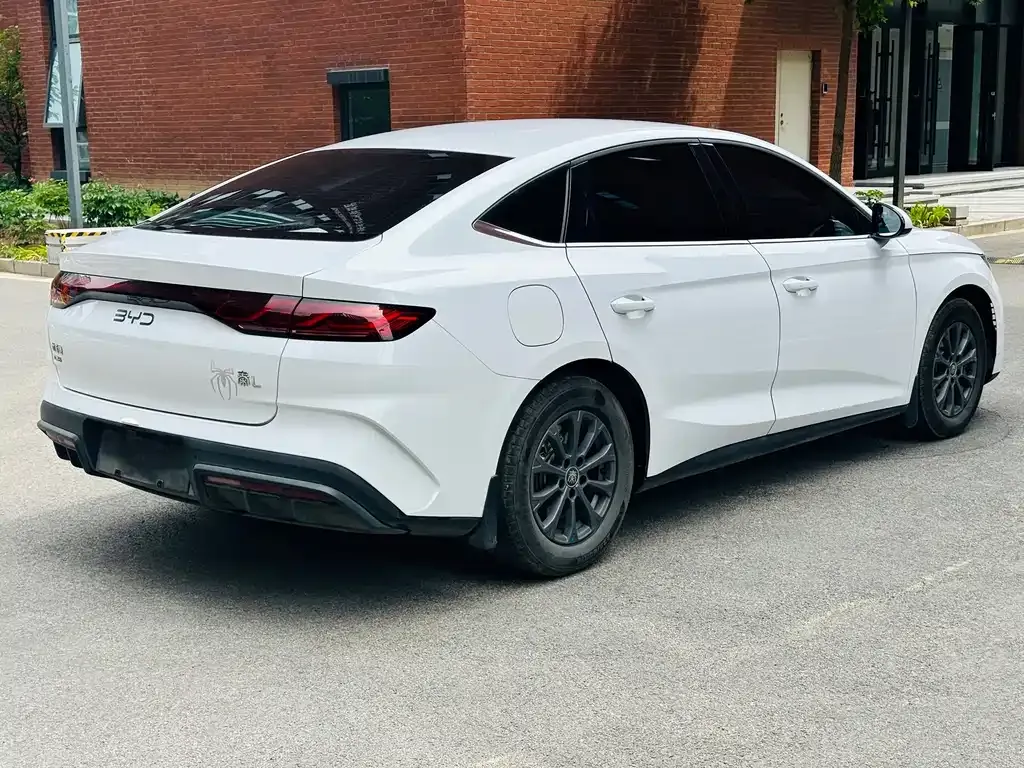 BYD Qin L 2024 из CN, фото 7