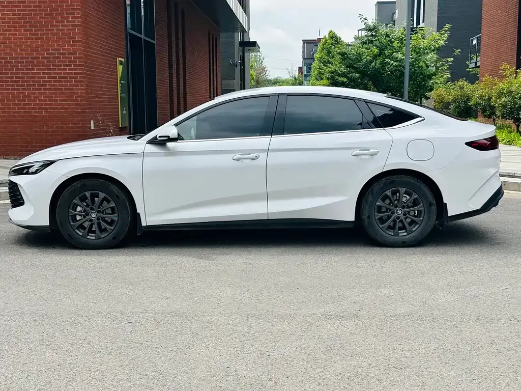 BYD Qin L 2024 из CN, фото 10
