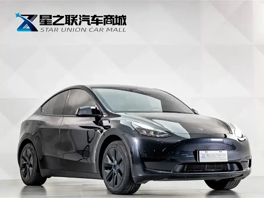 Tesla Model Y 2024 из CN, фото 4