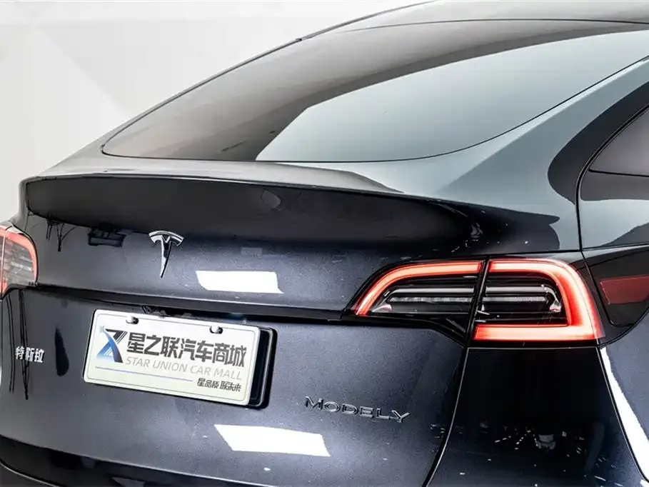 Tesla Model Y 2024 из CN, фото 9