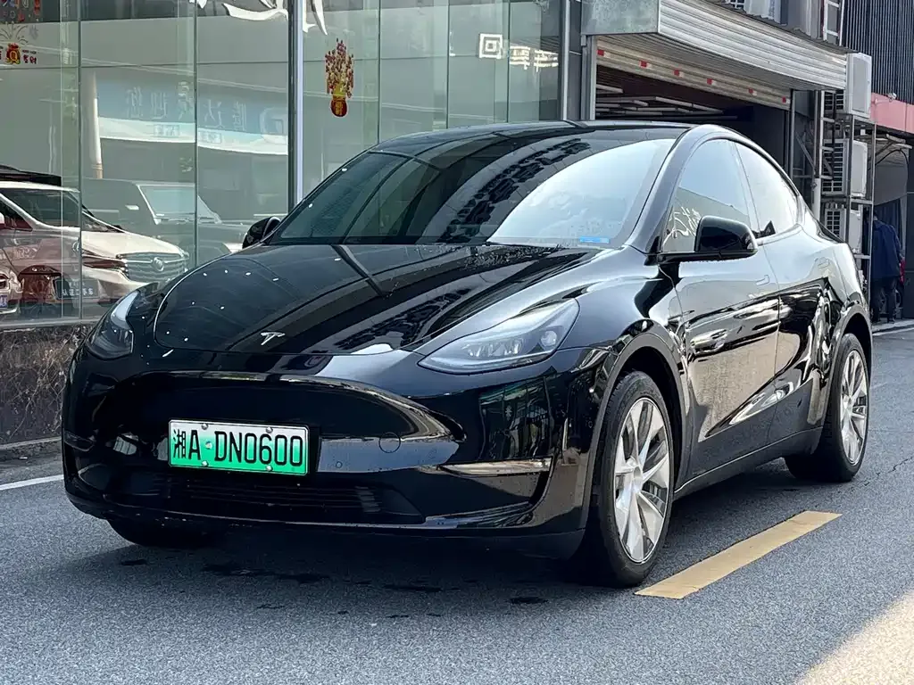 Tesla Model Y — фото 10