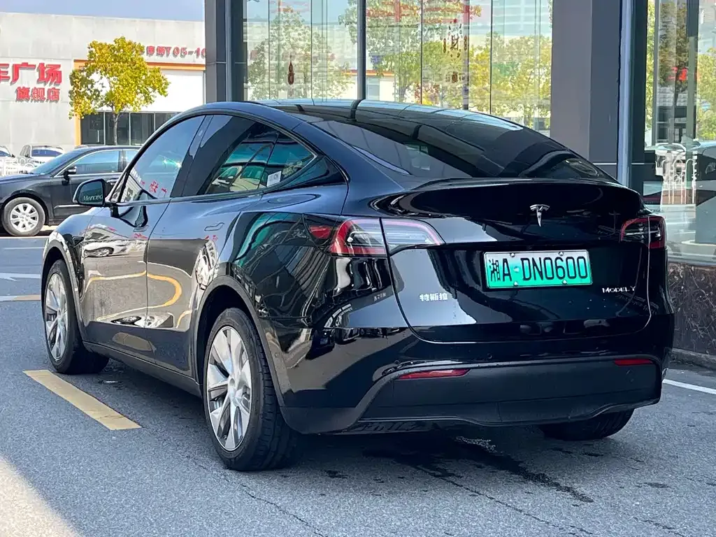 Tesla Model Y — фото 9