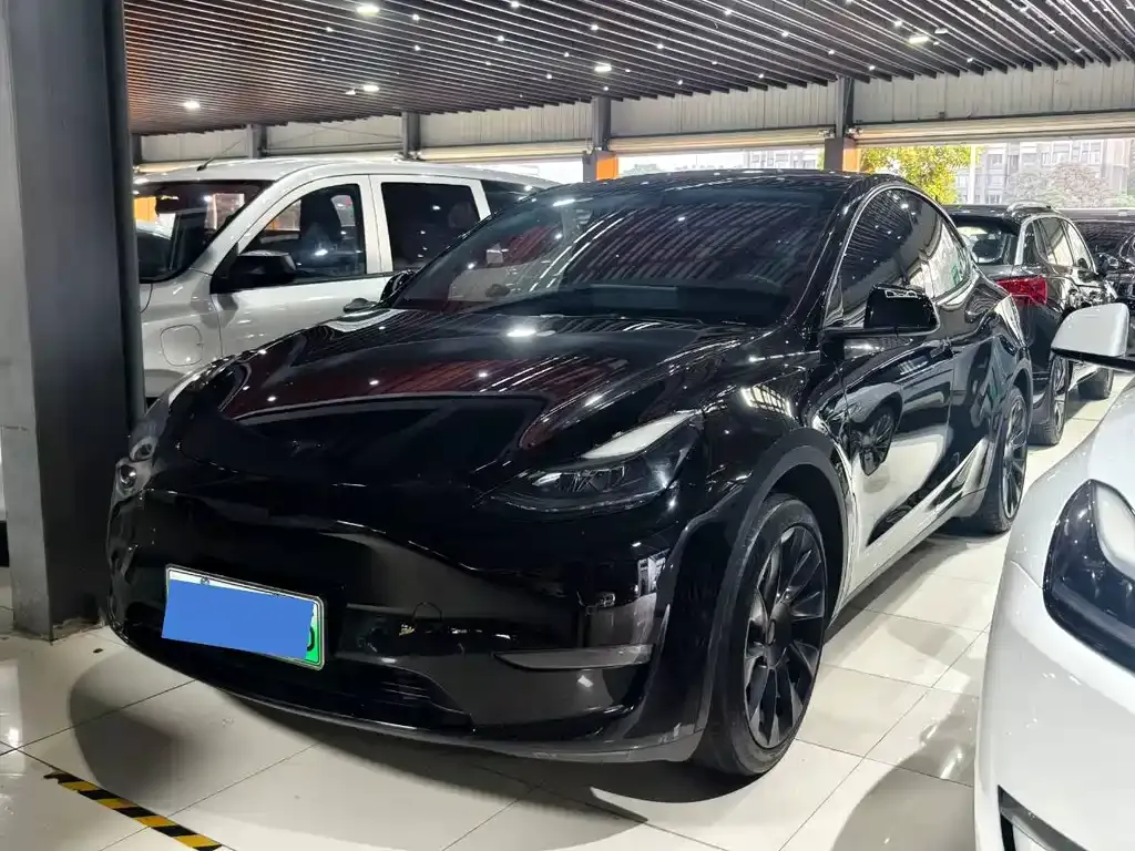 Tesla Model Y 2021 из CN, фото 1