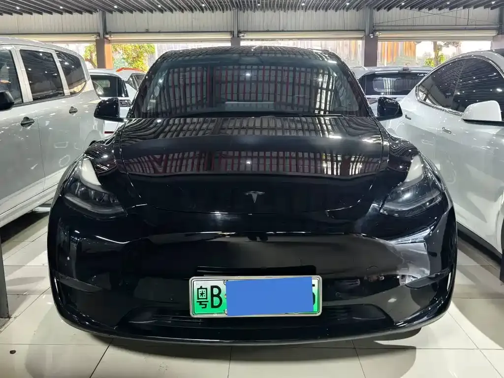 Tesla Model Y 2021 из CN, фото 2