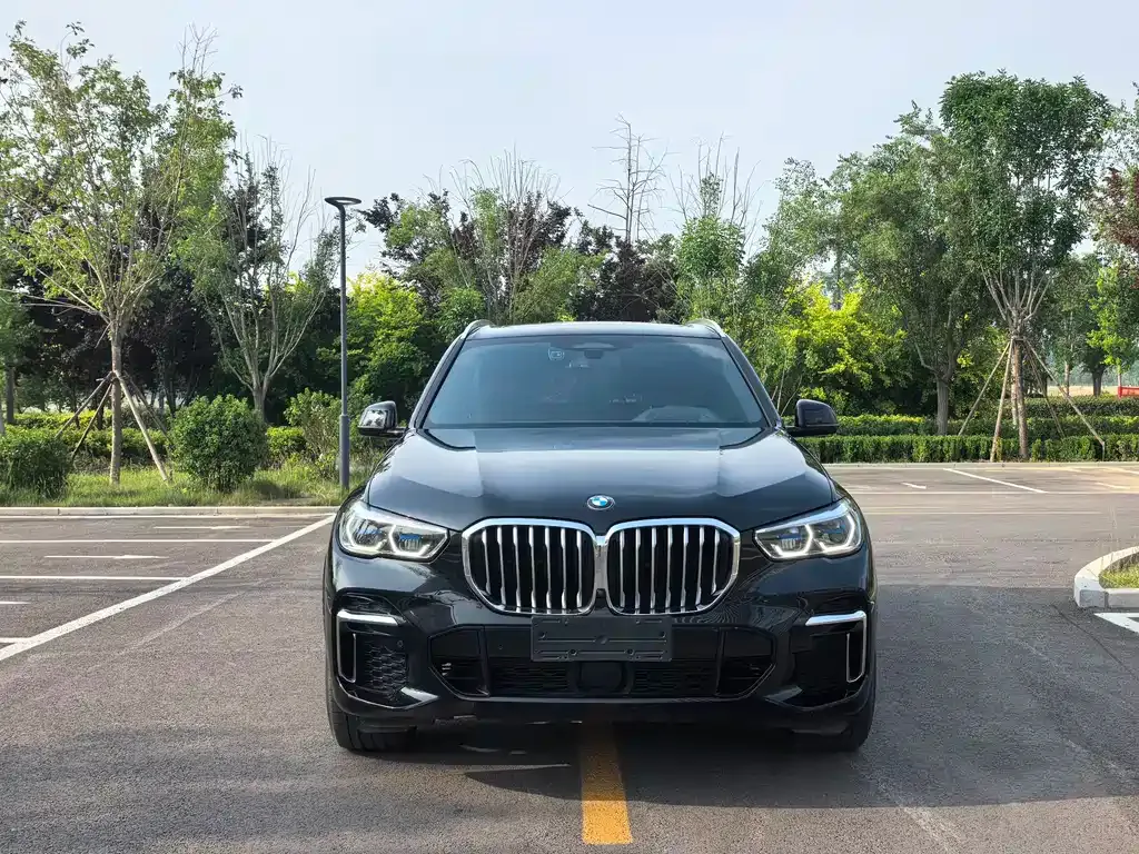 BMW X5 2023 из CN, фото 9