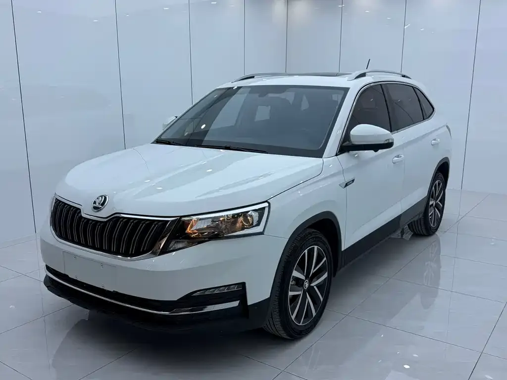 Skoda Kamiq 2023 из CN, фото 1