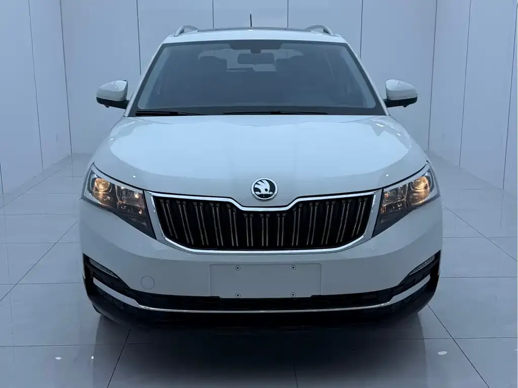 Skoda Kamiq 2023 из CN, фото 2