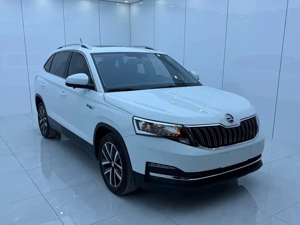 Skoda Kamiq 2023 из CN, фото 4