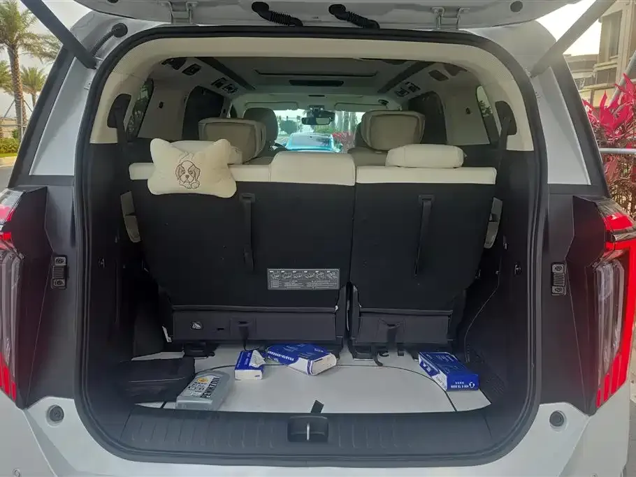 GAC Motor Trumpchi M8 2024 из CN, фото 5