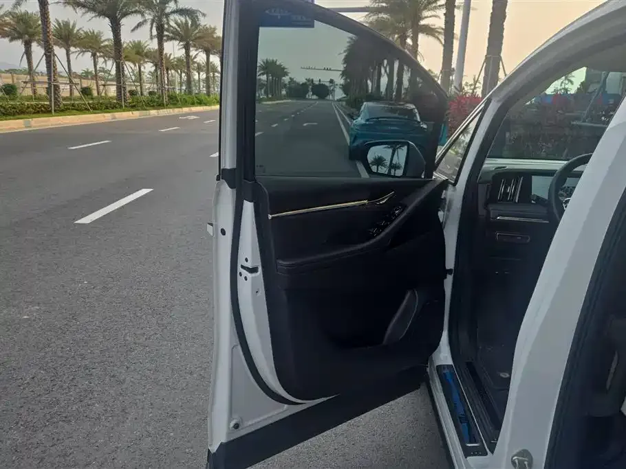 GAC Motor Trumpchi M8 2024 из CN, фото 9