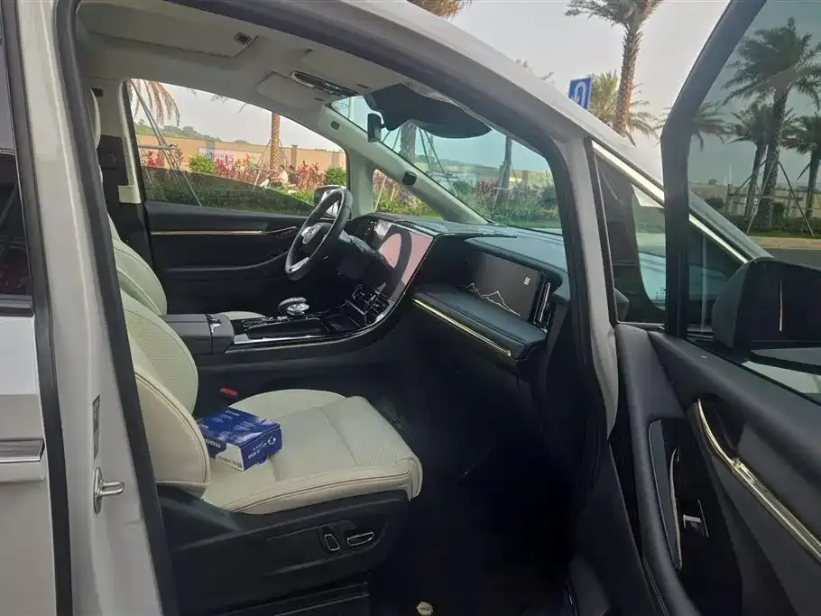 GAC Motor Trumpchi M8 2024 из CN, фото 3