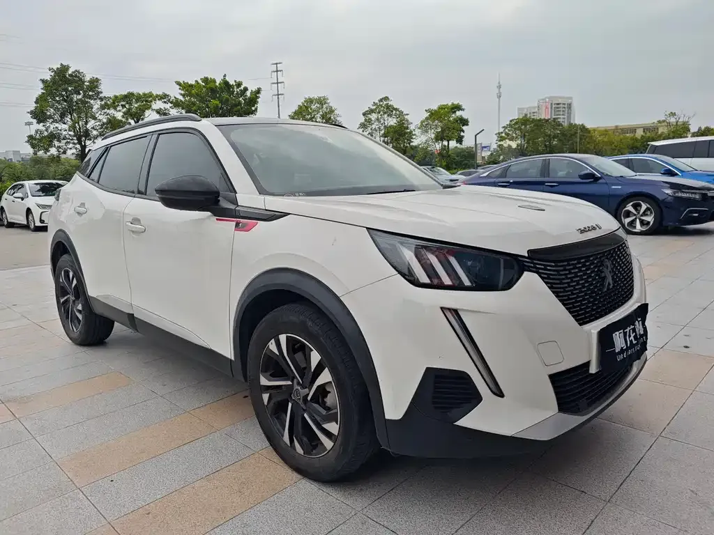 Peugeot 2008 2021 из CN, фото 5