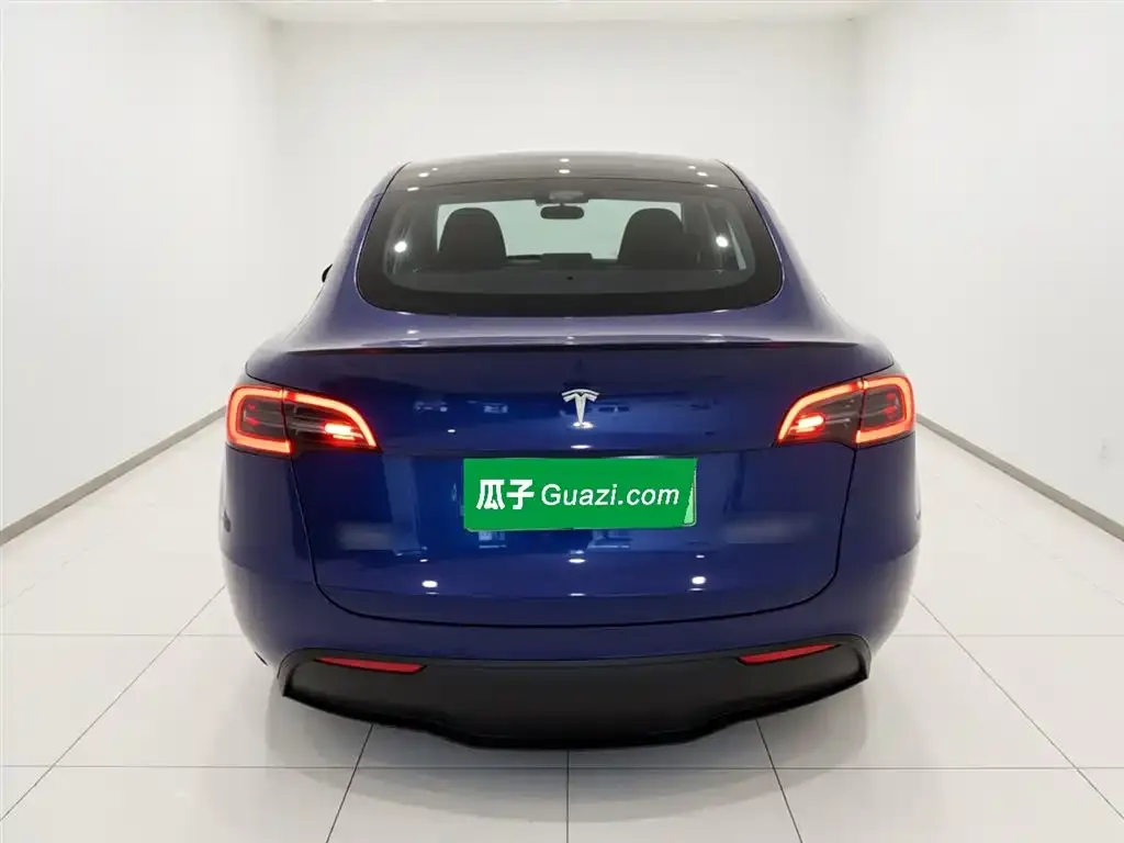 Tesla Model Y — фото 10